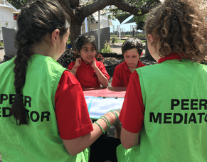 The Peace Foundation: Empowering Youth to Resolve Conflicts Constructively Through Peer Mediation