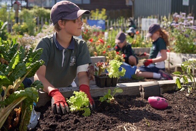 The Garden to Table Early Childhood Education Project | The Jenkins ...
