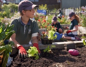 The Garden to Table Early Childhood Education Project