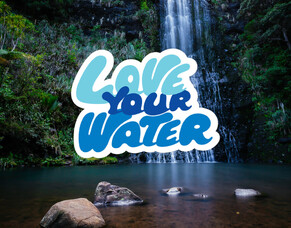 Tree Planting with Sustainable Coastlines