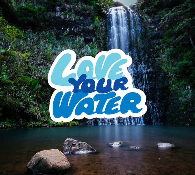 Image of Sustainable Coastlines tree planting programme. Case study of project funded by the Jenkins Foundation. New Zealand.