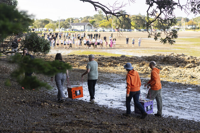 Image of large Save the Kiwi wooden boxes being carried by the team at Waiheke Island. Part of the Save the Kiwi mission in May 2025.