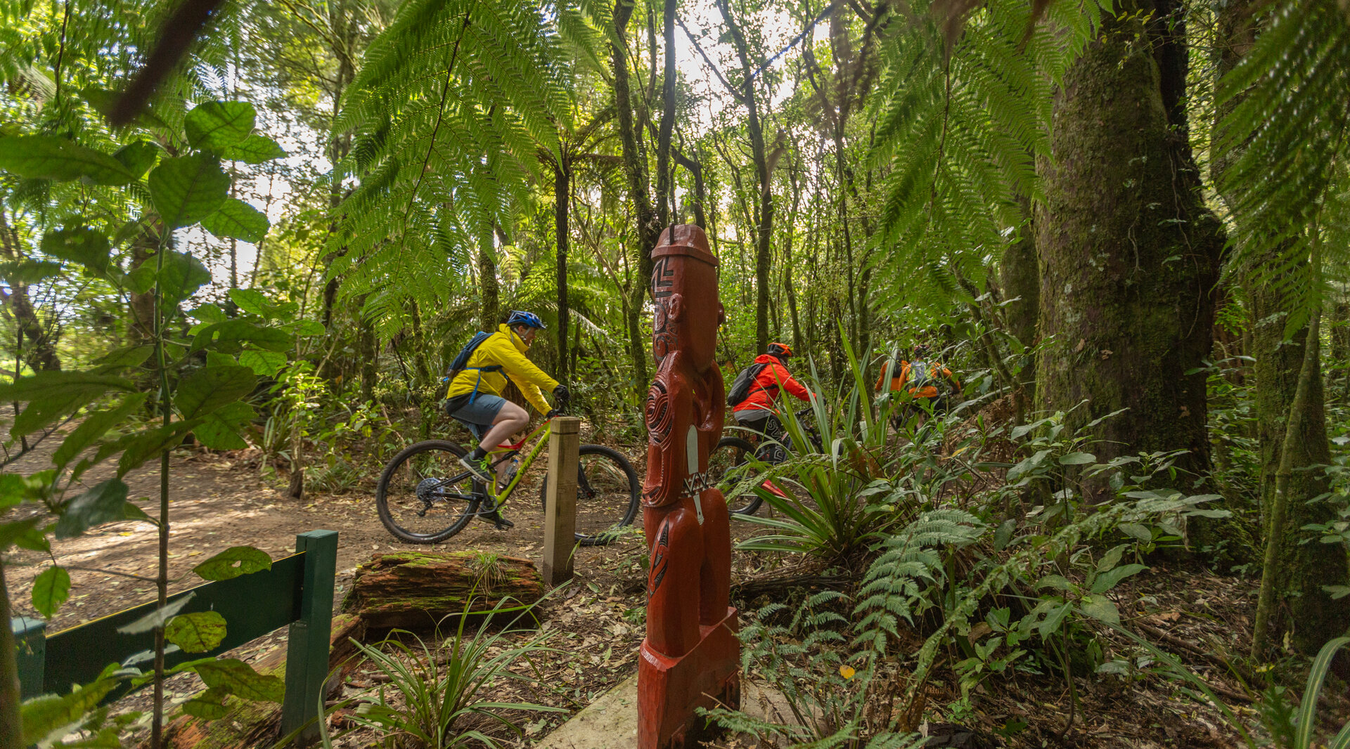 History  Timber Trail NZ