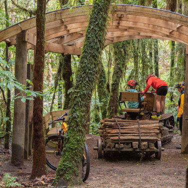 Caterpillar Tractor | Timber Trail NZ