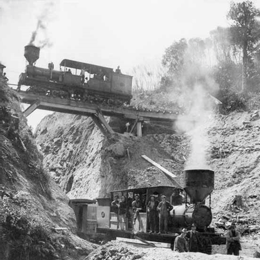 Ellis & Burnand lokies on the Ongarue Spiral | Timber Trail NZ