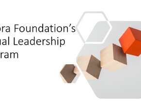 Aurora Foundation Australia Virtual Leadership Program