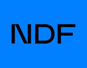 NDF Executive Digital Mentoring Program