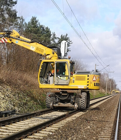 Mulcher with hammer/flail rotor for excavators.