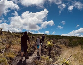 Loose Chain is now OPEN!