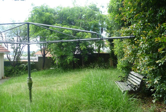Backyard Garden Photo