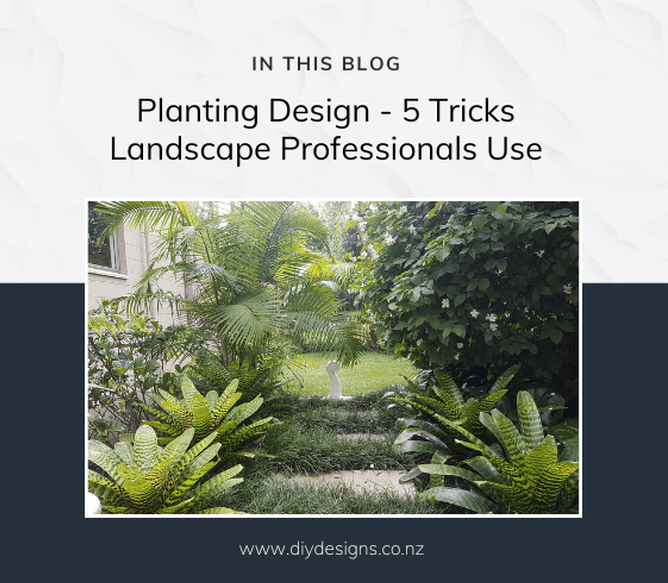 Subtropical garden planting design with bromeliads and palm trees seen either side of a concrete paver path. 