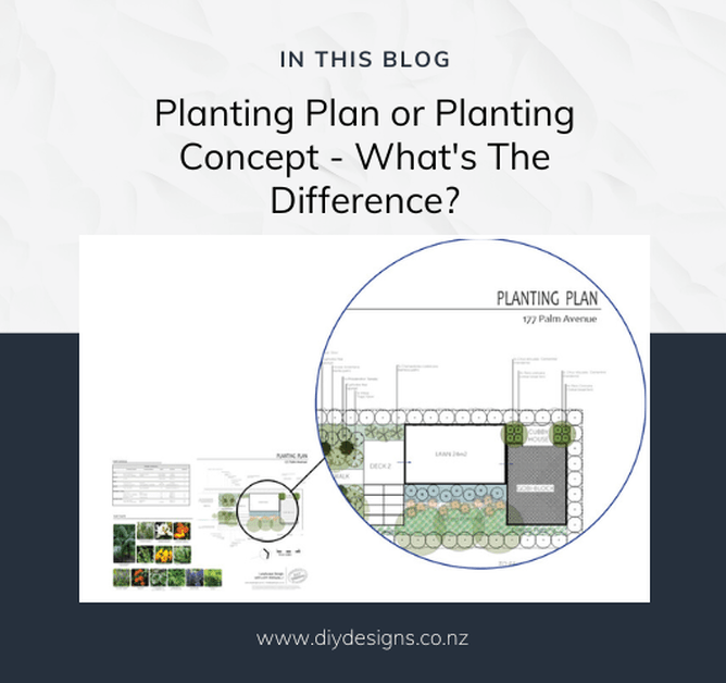 example of a planting plan