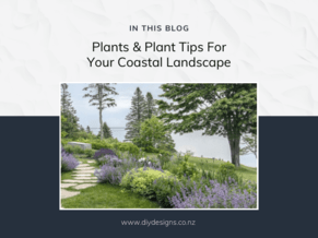 Plants for a New Zealand Coastal Garden
