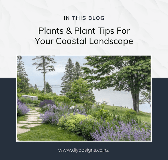Plants for a New Zealand Coastal Garden