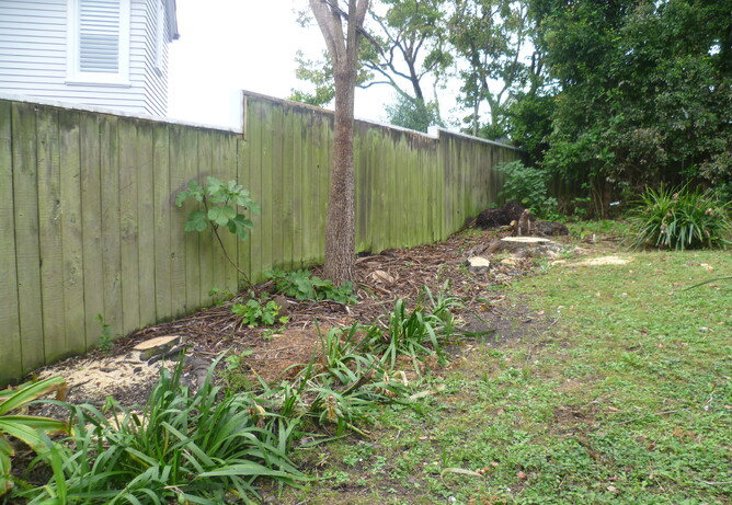 Photos of Property Fence Lines