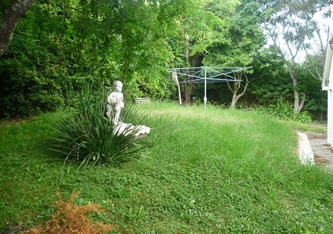 How to photograph your property for online landscape designers