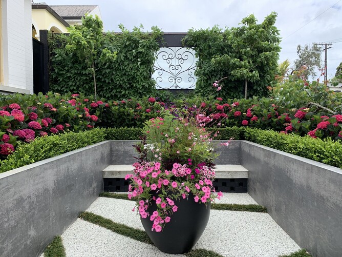 A courtyard garden that has a focal point of a garden mirrow fixed to a wall at the end of the long rectangular space. In the fore ground there is a pot filled with pink flowering plants sitting on a surface of white pebbles inlaid with bands of mondo grass. The pebbled area is framed by a 900mm high concrete wall. There are pink flowering hydrangea and low box hedges behind the wall.