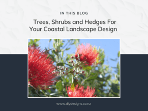 Coastal Auckland Landscape Design