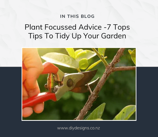 hard pruning flowering shrubs