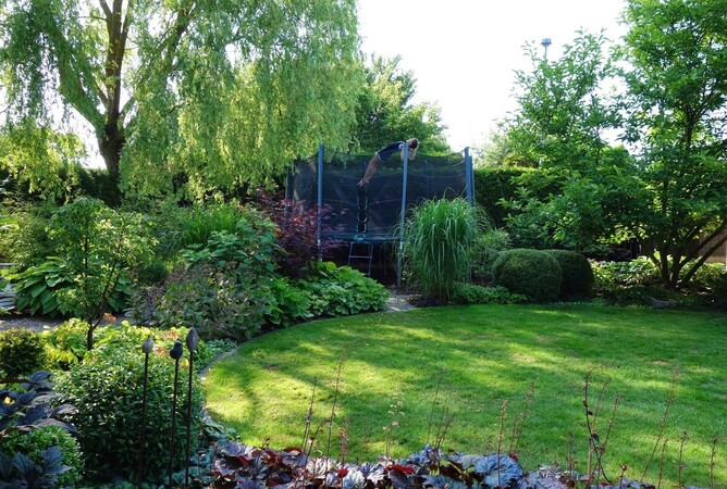Get creative with placement and planting and you can camouflage that trampoline so it disappears into the garden 