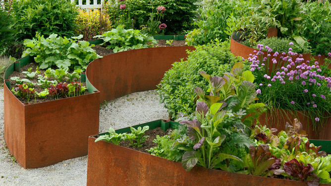 A vegetable garden that is both beautiful and practical