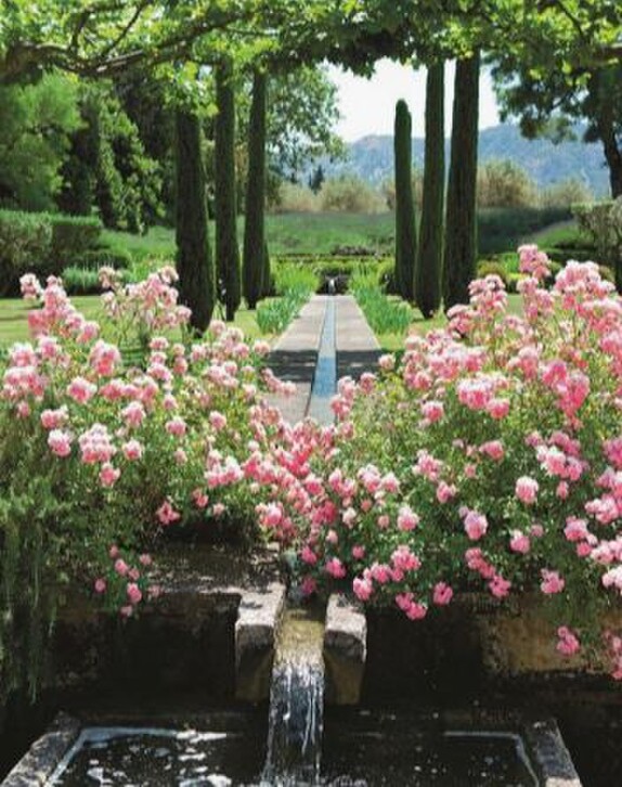 Creating wow factor in your garden, professional garden designer tips on creating impact and incorporating things such as water features and sculptures into your garden. ig Idea for your garden that creates cohesion and a sense of completeness and your garden will amaze and delight.