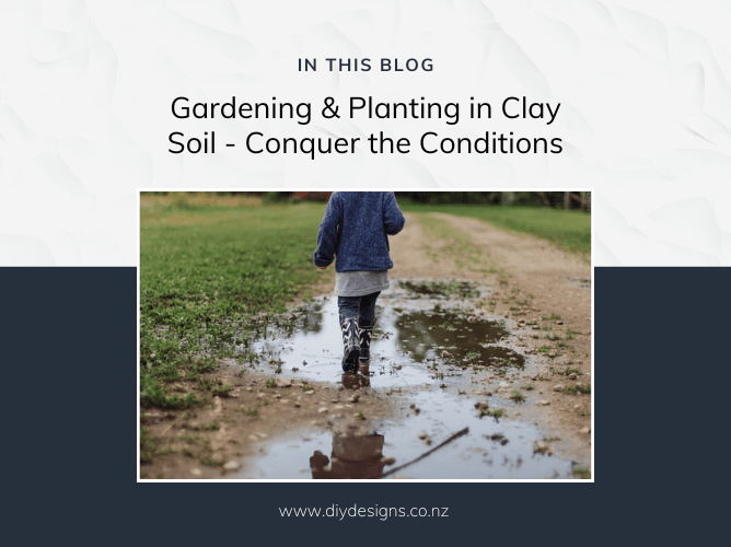 Gardening & Planting in Clay Soil Conquer the Conditions DIY Designs
