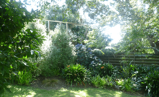 photos of Botanicals and pl;ants in your garden