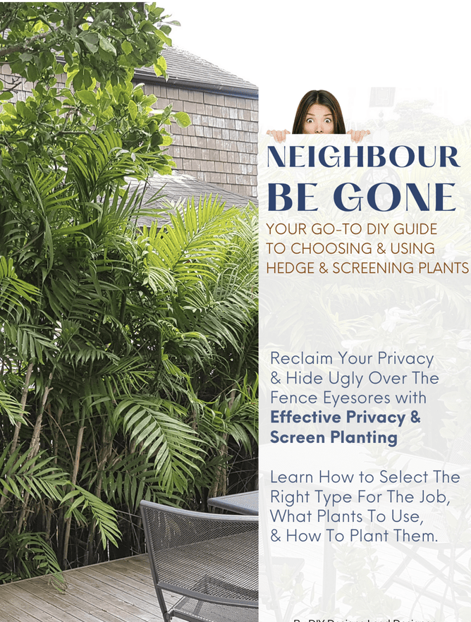A garden design ebook with planting and screening  solutions to get rid of nosy neighbours