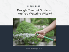 Drought Tolerant Gardens &ndash; Are You Watering Wisely?