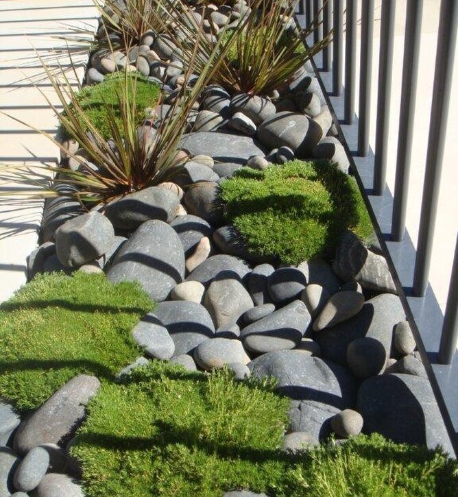 Low cost landscape planting of NZ Garden with NZ native plants and stone groundcover
