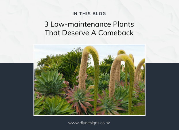 Easy care plants for a low maintenance garden