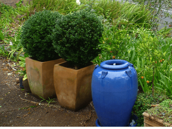 Exiting features of your garden to be included in a landscape design