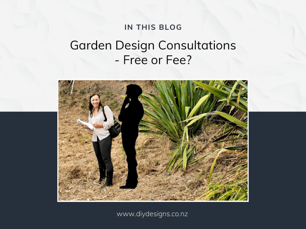 garden design consultation in Auckland with Kerry Speirs