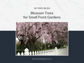 Blossom Trees for Small Front Garden Designs