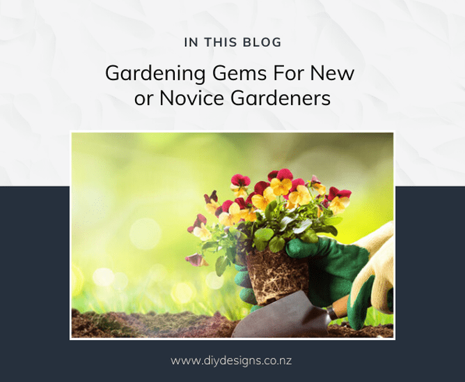 Tips and tricks and things this expeieced gardener has learnt over the years in a variety of different garden types