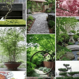 The Japanese Style Kiwi Garden Cheat Sheet