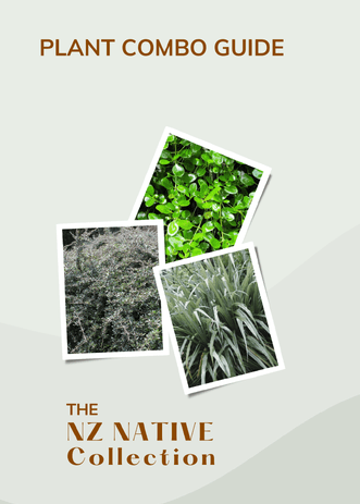 An ebook cover for a planting combination ideas book showing polaroid snaps of three New Zealand native plants.  There's blue and gold writing to the  bottom of the  plant photos  promoting the 3 plant combo pocket guide.