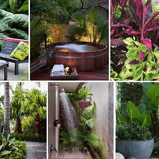 The Tropical-Kiwi Garden Cheat Sheet