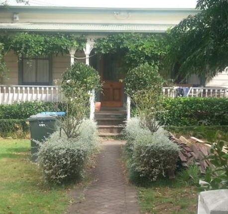 Before photo professional planting garden layout