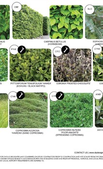 Garden design with labelled plant palettes for plant ID