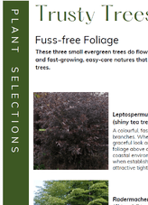 SMALL TREE SELECTIONS - Avoid mistakes with a descriptive  selection guide of 10+ trusty trees well suited for the smaller garden