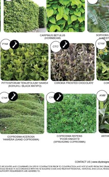 Garden design with labelled plant palettes for plant ID