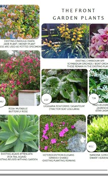 Garden design with labelled plant palettes for plant ID