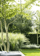 PLANTING DESIGN - Learn planting design tricks the professionals use & how to smarten up your existing plant schemes