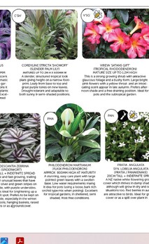 Informative labelled palettes for easy plant ID and info