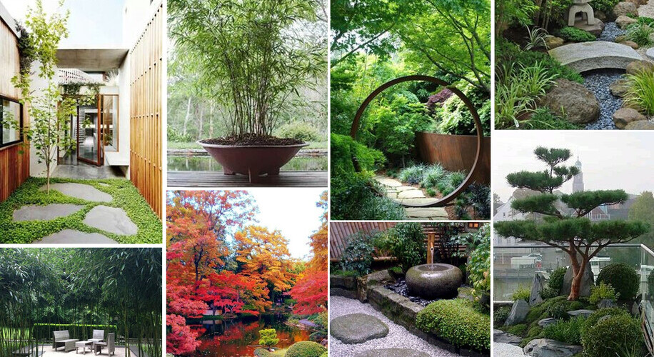 Garden Landscaping Ideas & Inspiration Theme Book | DIY Designs