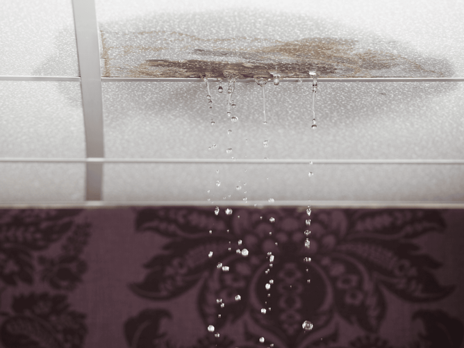 leaks