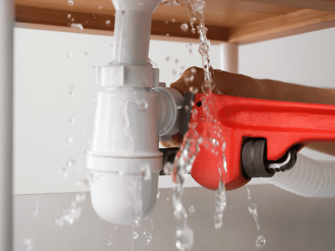 Plumbing maintenance Wellington