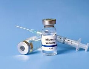 Flu vaccines have now arrived. You can book online now or call us.